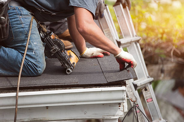 Best Roof Gutter Cleaning  in Camp Springs, MD